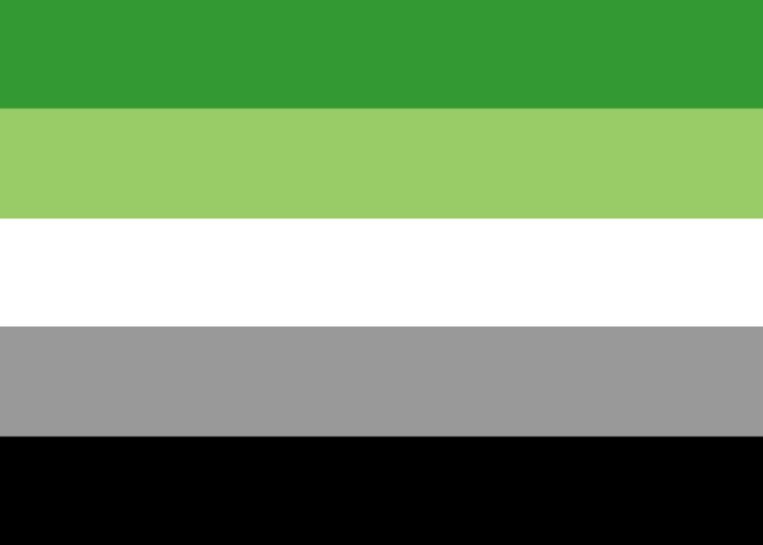 Aromantic Pride Flag - Tully Crafts