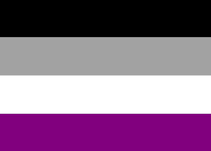 Small Asexual Pride Flag - Tully Crafts