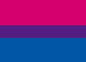 Small Bi Pride Flag - Tully Crafts