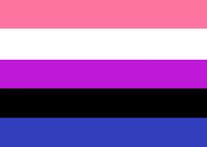 Small Genderfluid Pride Flag - Tully Crafts