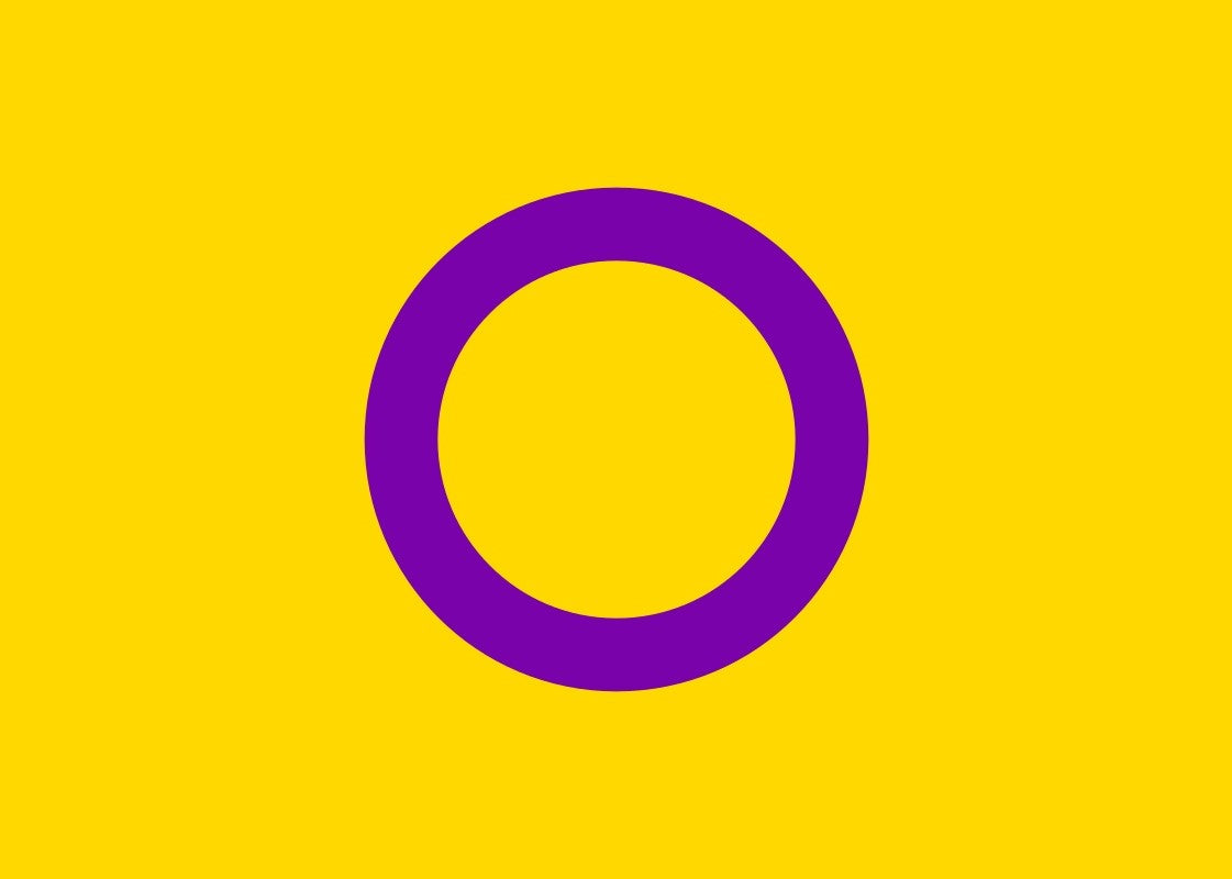 Intersex Pride Flag (yellow/purple) - Tully Crafts