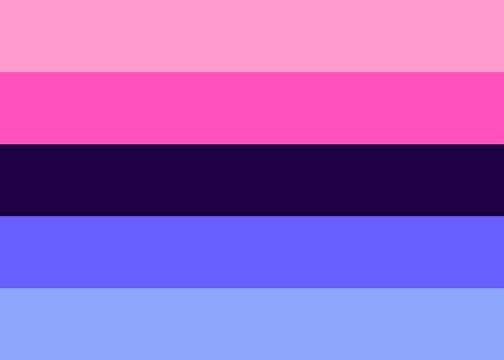Omnisexual Pride Flag - Tully Crafts