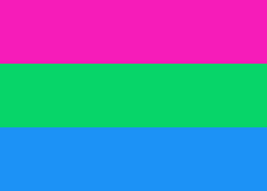 Polysexual Pride Flag - Tully Crafts