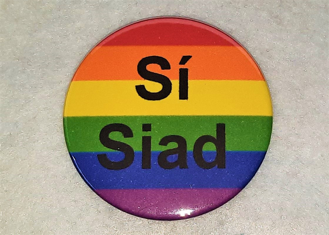 She/They & Sí/Siad Pronoun Badge - Tully Crafts
