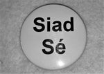 Load image into Gallery viewer, They/He &amp; Siad/Sé Pronoun Badge - Tully Crafts
