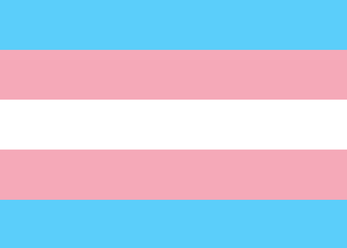 Small Trans Pride Flag – Tully Crafts
