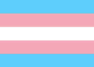 Small Trans Pride Flag - Tully Crafts