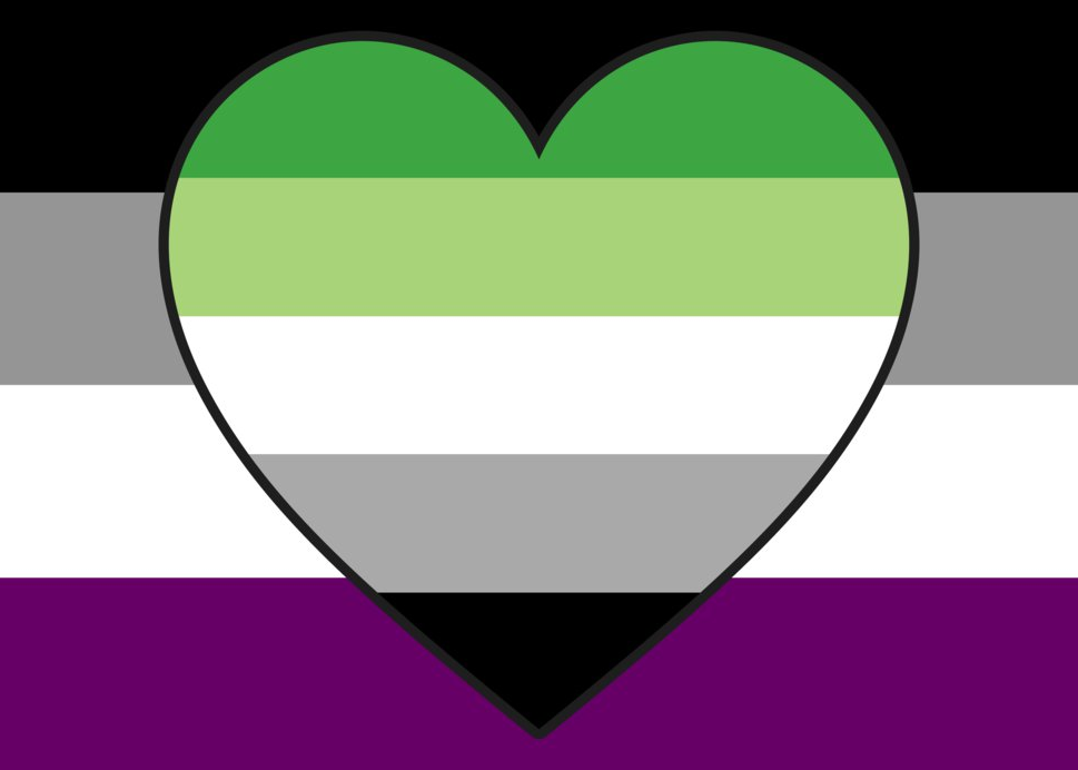 Asexual Aromantic Heart (AroAce) Pride Flag - Tully Crafts